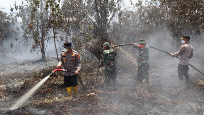 Ilustrasi pemadaman karhutla