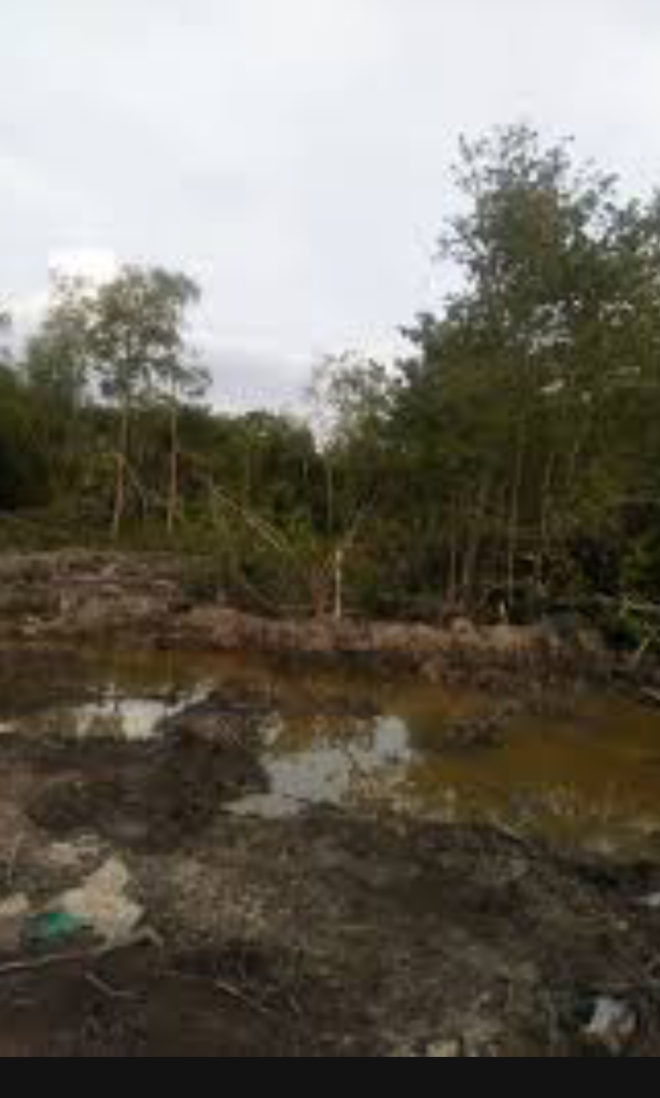 Mahasiswa yang tergabung dalam Gerakan Pemuda Peduli Hukum Riau mendesak Kejaksaan Tinggi Riau untuk segera mengusut dugaan mafia lahan seluas 600 hektar di Kepenghuluan Sungai Daun.