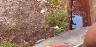 Seorang pria, di Malaysia yang identitasnya tidak diungkapkan, rela hidup hemat dengan hanya makan nasi yang disiram kuah air putih demi menghemat uang untuk keluarganya.