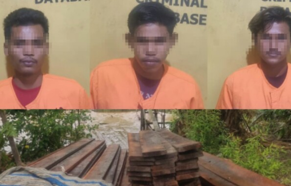 Polisi Tangkap Tiga Pembalak Liar di Desa Langkat