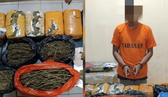 Polisi Gagalkan Peredaran 7 Kg Ganja di Perawang, Pelaku Sudah 6 Bulan Beroperasi