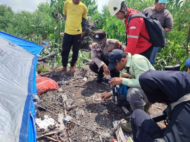 Tim Wildlife Rescue Unit (WRU) BBKSDA Riau memeriksa lokasi insiden serangan harimau di kawasan hutan tanaman industri (HTI) di Kecamatan Teluk Meranti, Pelalawan, Senin (19/8/2024)