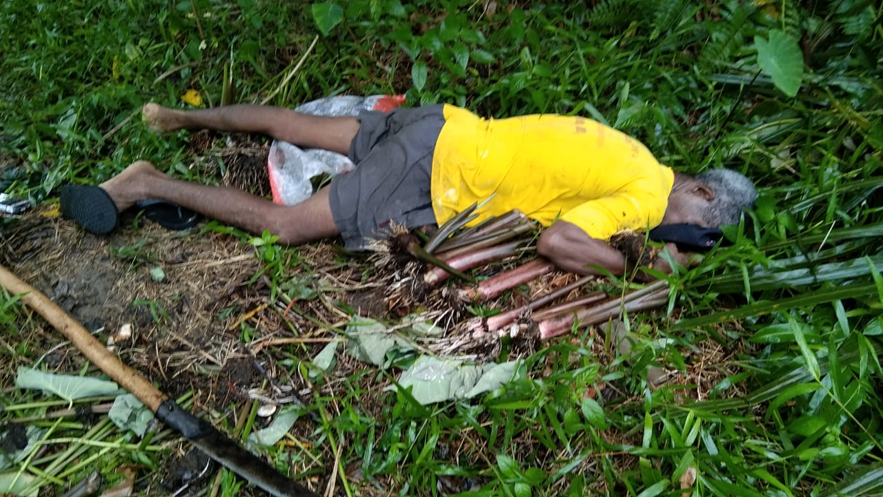 Buruh Tani Ditemukan Tewas Memeluk Batang Keladi di Dumai