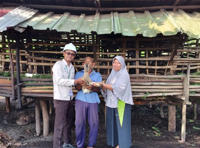 Apical Dumai Berdayakan Petani Lubuk Gaung, Omzet Budi Daya Kambing Capai Rp 475 Juta