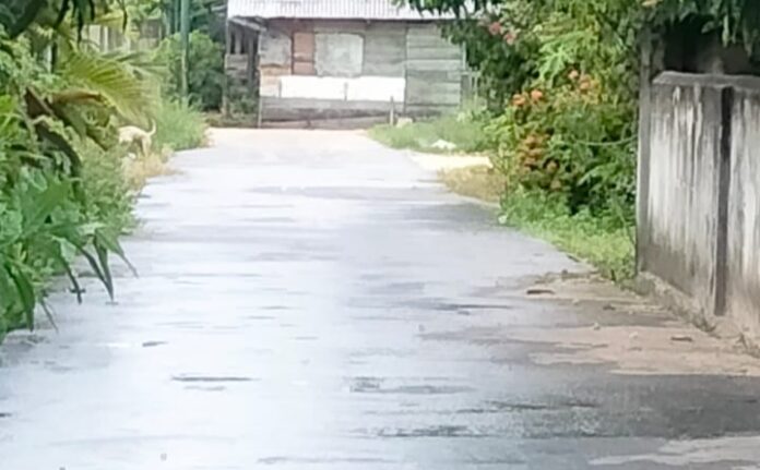 Salah satu kegiatan semenisasi di Teluk Binjai alokasi ADK 2024. (f : ist/detak24.com)