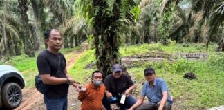 Tragis! Guru Dibunuh dan Dibakar di Kebun Sawit, Pelaku Ditangkap di Sumut