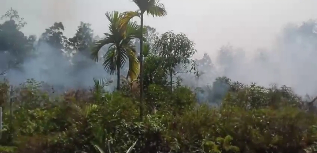 5 Hektare Lahan Terbakar di Dumai 