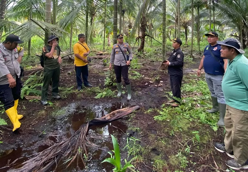 Tapak Harimau Ditemukan di Rotan Semelur-Inhil, Warga Diminta Waspada