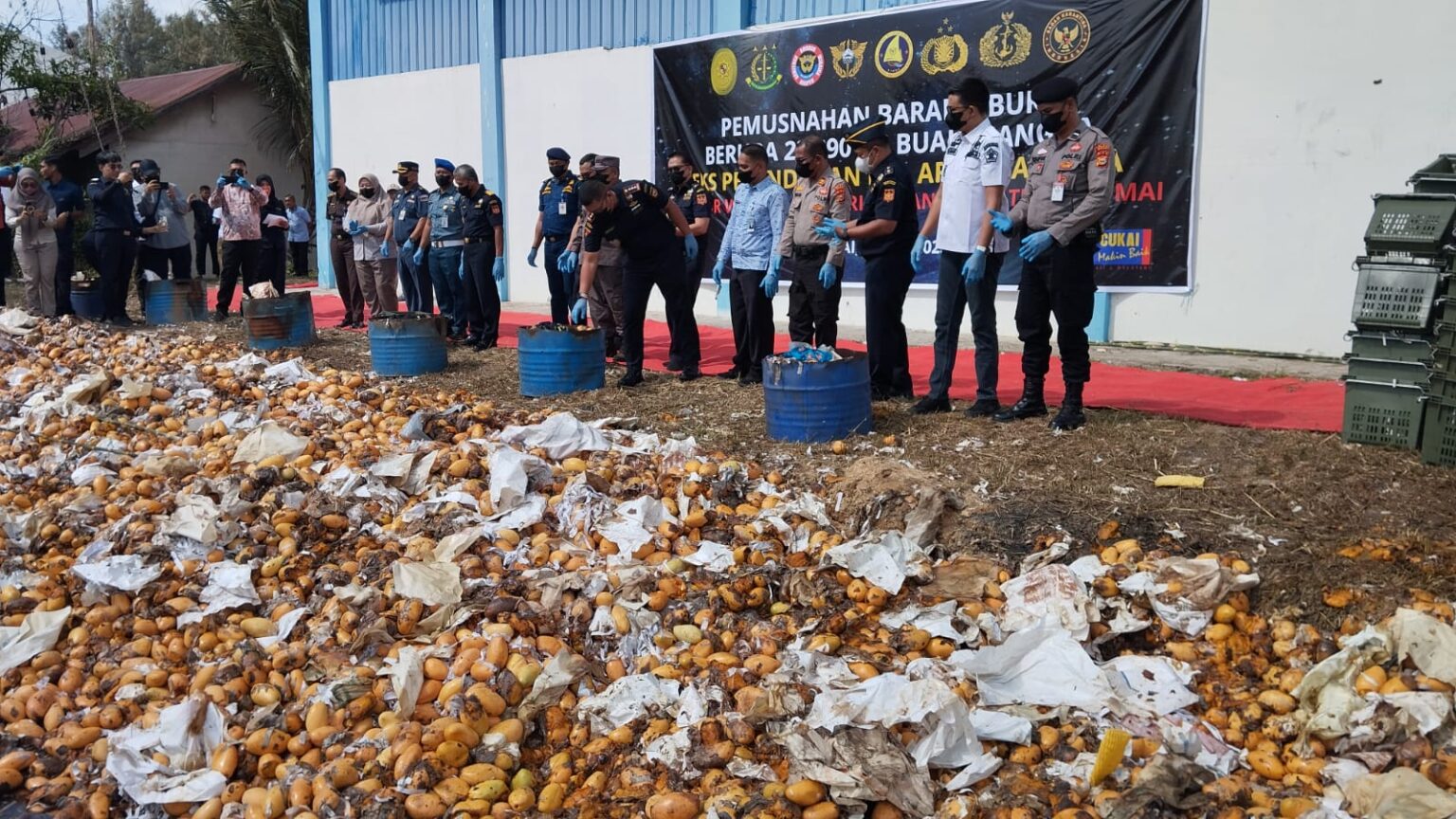 Dua Tersangka Penyelundupan Mangga Asal Malaysia Terancam 8 Tahun Penjara