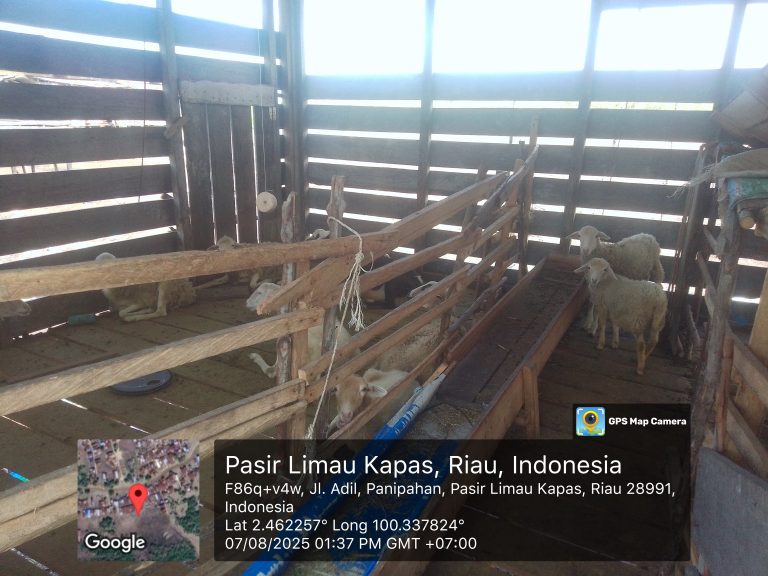 APMASIR Rohil Desak Inspektorat Audit Kepenghuluan Panipahan Terkait Dugaan Korupsi Dana Desa