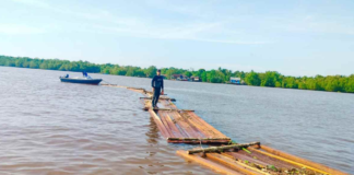 Kayu Ilegal logging di Sungai Dedap Meranti