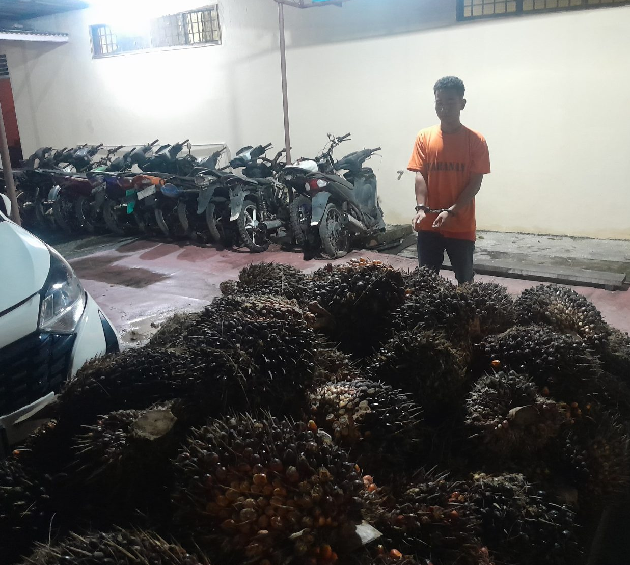 Polsek Tualang Tangkap Pencuri 2 Ton Sawit di PT AIP, Dua Pelaku Masih Diburu