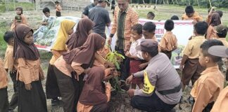 Polsek Panipahan Tanam Pohon di SDN 005 Sungai Daun
