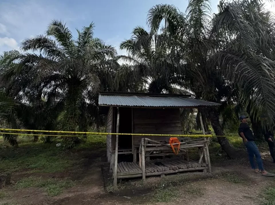 Dugaan Pembunuhan Gegerkan Keritang, Pria Ditemukan Tewas di Pondok Kebun Sawit