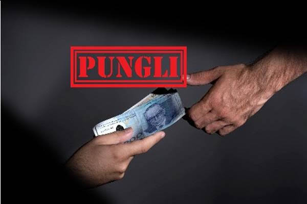 Dugaan Pungli di Kepenghuluan Sungai Segajah Jaya Rohil Mencuat, APH Jangan melemah