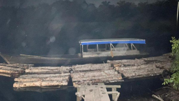 Kayu Mahang Dijarah di Sungai Nibung