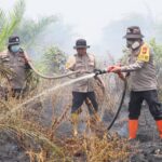 Kapolres Rohil Pimpin Langsung Pemadaman Karhutla di Tanah Putih, 30 Hektare Lahan Terbakar