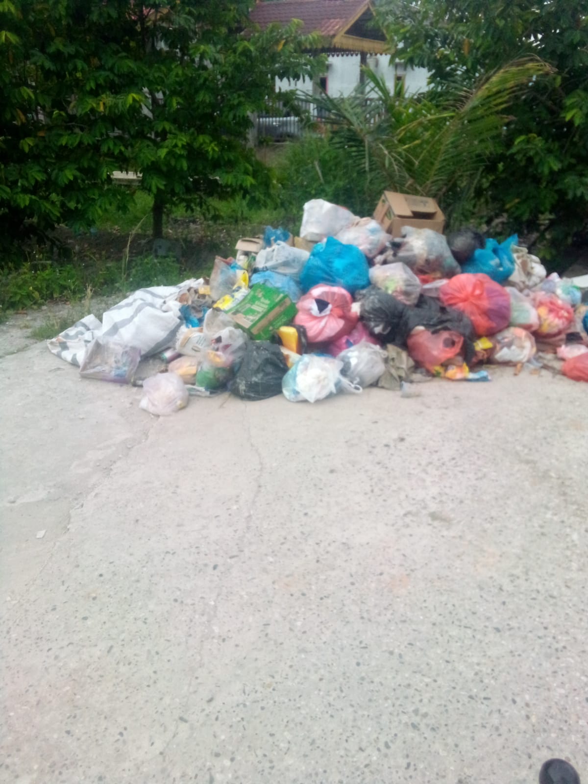 Sampah Berserakan di Jalan Seiya Bagan Punak, Warga Soroti Kinerja DLH Rohil