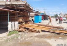 Ilegal Logging Diduga Marak di Kubu Babussalam, Publik Desak Kapolda Riau Bertindak Tegas