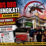Kasus DBD Meningkat, Anggaran Dinkes Rohil Disorot: Publik Pertanyakan Kinerja Kabid P2PPL