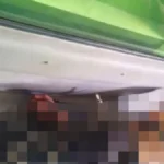 Sopir Truk Bermuatan Minyakita Ditemukan Tewas Terikat di Pekanbaru