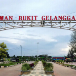 Polisi Ringkus Pengedar Ekstasi di Taman Bukit Gelanggang Dumai
