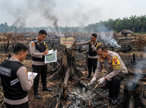 Polda Riau Tangani 32 Kasus Karhutla, 35 Orang Jadi Tersangka