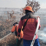 491 Hotspot Terdeteksi di Riau, Terbanyak di Pelalawan