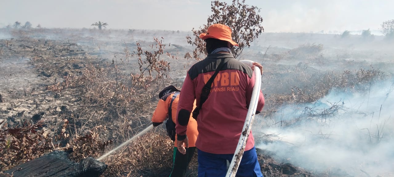 491 Hotspot Terdeteksi di Riau, Terbanyak di Pelalawan