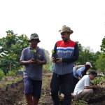Pokmas Alam Tani Binaan Pertamina Patra Niaga Kilang Dumai Tanam 1.000 Bibit Kopi Robusta, Optimalkan Produktivitas Lahan Gambut di Kelurahan Tanjung Palas