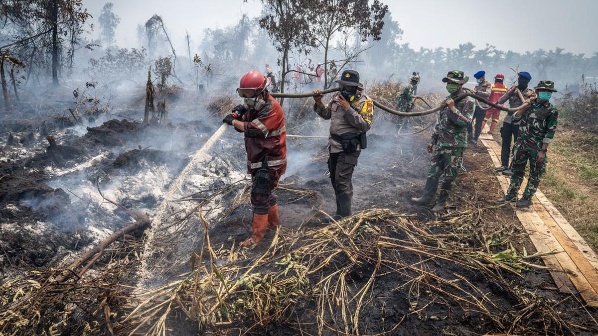 3.734 Hotspot Terdeteksi di Sumatera, Enam di Riau