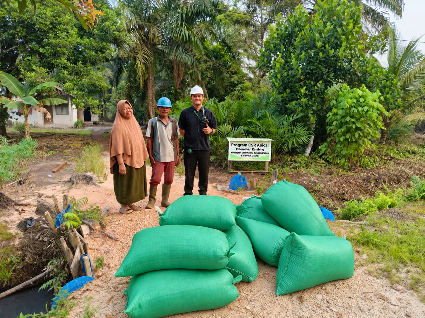 Apical Dukung Produktivitas Peternak Binaan di Dumai melalui Pemanfaatan Bungkil Inti Sawit