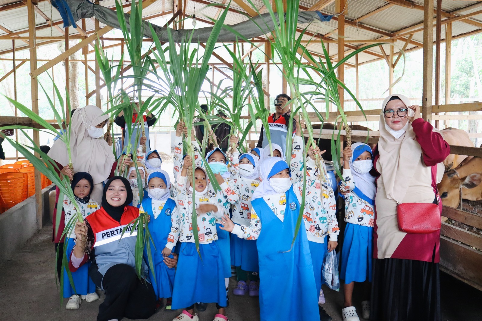 Ketika Anak Usia Dini Belajar Beternak dan Bertani: Memupuk Generasi Sadar Lingkungan bersama Pertamina Hulu Rokan